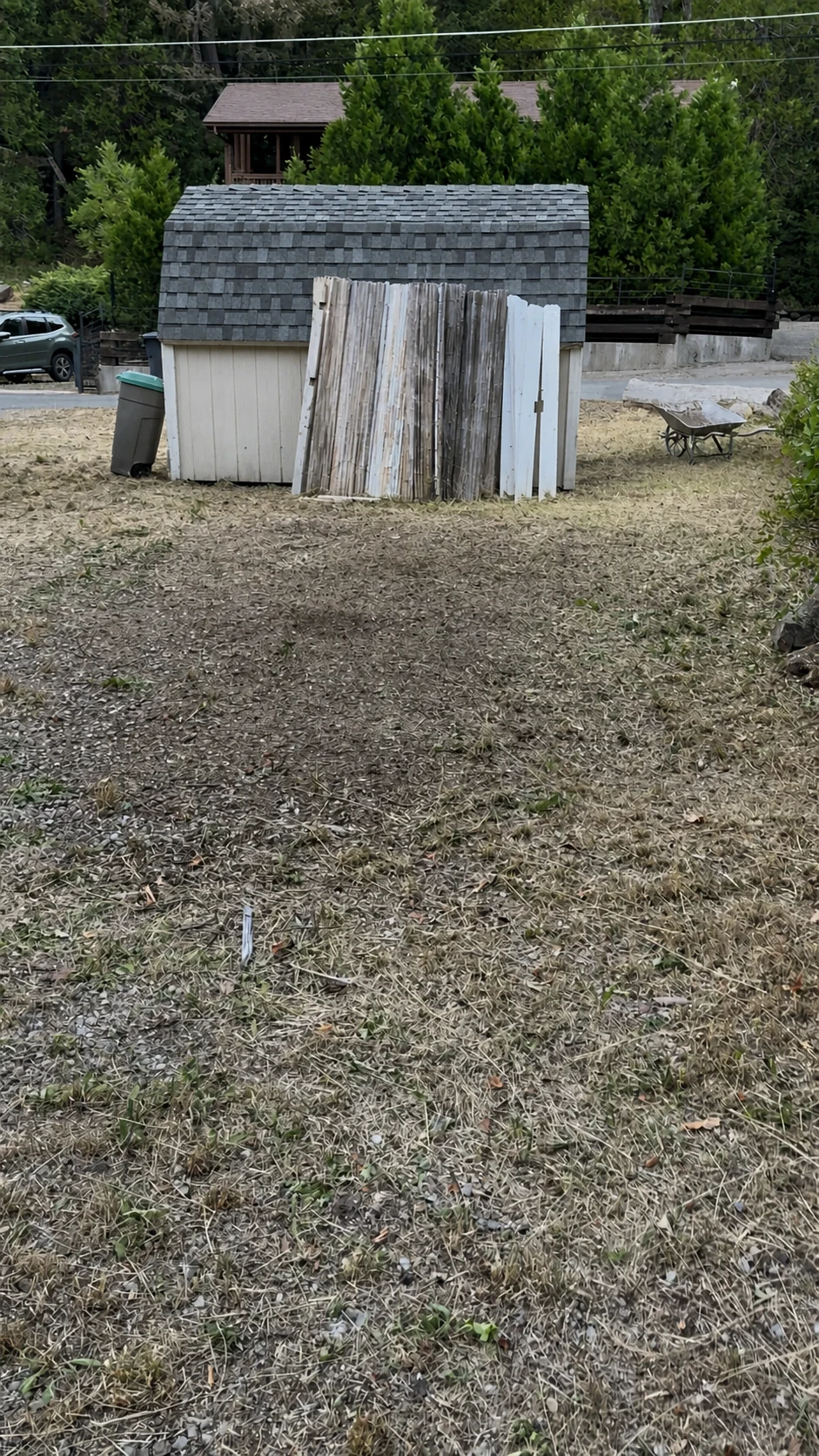 Yard after brush and branch removal